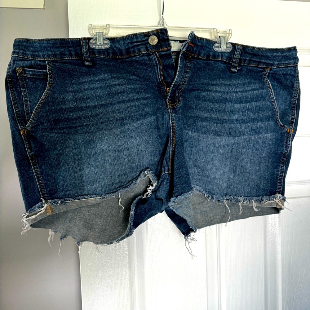 Torrid Shorts